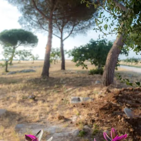 Country house Masseria Sitamara