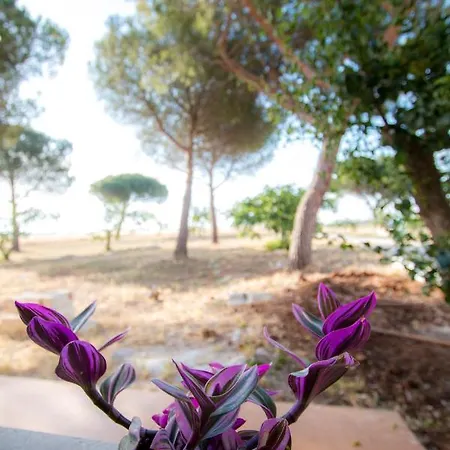 Masseria Sitamara Country house