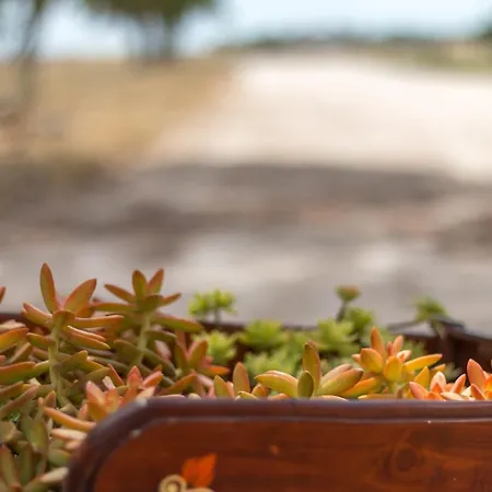 Masseria Sitamara Country house Lecce