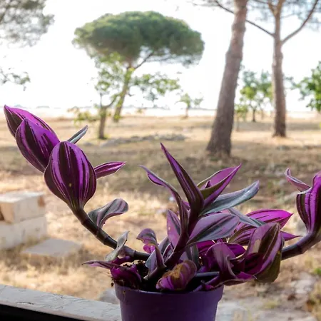 Masseria Sitamara Country house Lecce